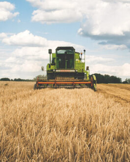 Azienda Agricola Cornalba